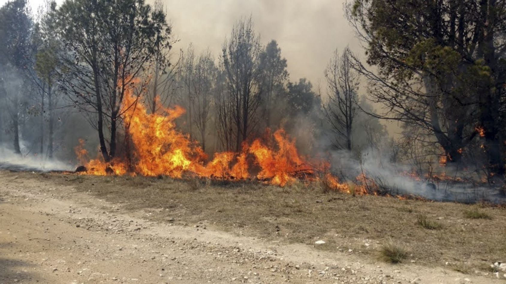 La Municipalidad Se Prepara Para Prevenir Los Incendios Forestales ...